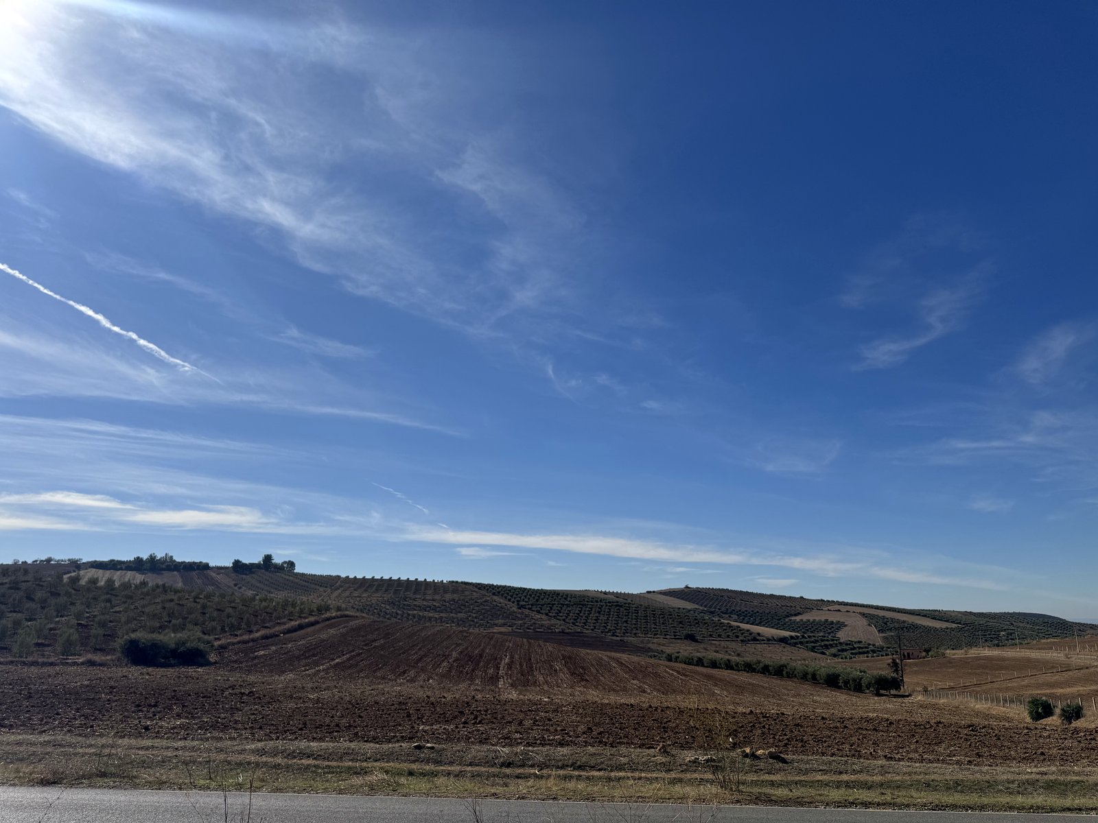 Rolling hill country with olive groves under a wide sky in Morocco